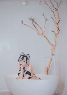 DVD动漫在线观看